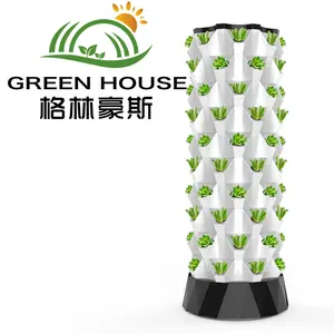 Aeroponics Equipment Nft Hydroponics Vertical Farm Pineapple Aeroponic Tower Hydroponic Growing Systems