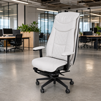Meilleures ventes : Fauteuil de massage de bureau, produits de santé, masseur réglable en hauteur avec dossier
