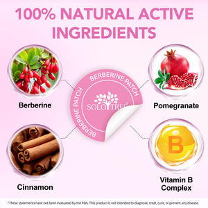 Patchs Transdermiques de Berbérine Minceur Végétaliens Naturels en Marque Blanche OEM 30 Unités pour la Perte de Poids et le Soutien Immunitaire et Métabolique - Product Image 2