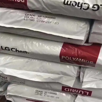 Granulés de nylon LG Chem PA66 LUMID GP2200BW GP2300B(W) GP2300BE Granulés de matière première plastique Poudre de qualité moulée pour fibres