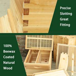 2 परत बीहीव्स बॉक्स घर ब्रोड बॉक्स 7x शहद फ्रेम कंघी + कुंजी - Product Image 3