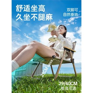 Silla Plegable Explorer Kermit 69x54x77cm de Acero al Carbono para Camping, Playa y Picnic - Product Image 4