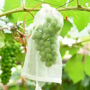 Sacs <span class=keywords><strong>de</strong></span> protection des fruits <span class=keywords><strong>de</strong></span> 6x10 pouces avec cordon <span class=keywords><strong>de</strong></span> serrage <span class=keywords><strong>sac</strong></span> <span class=keywords><strong>de</strong></span> couverture <span class=keywords><strong>de</strong></span> fruits en maille <span class=keywords><strong>pour</strong></span> raisin pêche pomme - Product Image 2