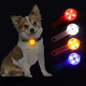 Collier LED réglable pour chien, anti-perte, sécurité nocturne, étanche, pendentif lumineux, rechargeable par USB - Product Image 1