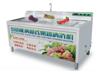 Automatische Yuzu Wasmachine Voor Sap-En Pestproductie