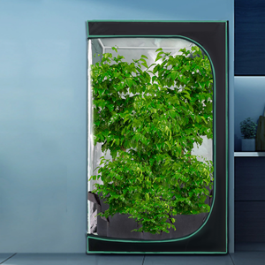 Orientrise Flower Growing <span class=keywords><strong>Culture</strong></span> Sous Serre Garden Tent 4x3 Hydroponic Grow Tent Kit complet - Product Image 3