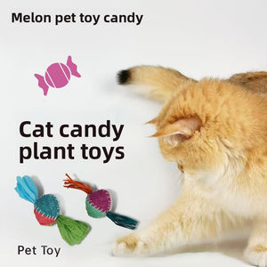 Juguete Natural de Lufa para Mascotas con Caramelo Masticable de Menta para Limpiar los Dientes y Aliviar la Congestión Nasal en Gatos - Product Image 5