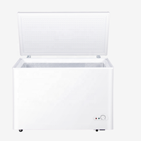 Congélateur coffre horizontal 435L avec porte pleine en mousse, logo OEM personnalisé, vente en gros d'usine pour stockage en supermarché BD-435QE