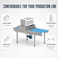 Couteau de découpe ultrasonique industriel pour pain et aliments du groupe Wanli, en acier, avec boîte de vitesses pour machine à gâteaux, haute productivité