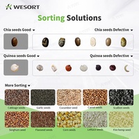 Trieur de céréales optique économique pour graines de légumes, machine de tri de couleur Wesort, production d'usine chinoise