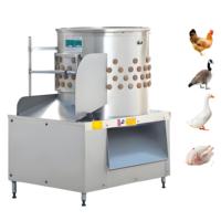 Offre Spéciale d'abattoir de poulet Machine d'abattage automatique de poulet Cueilleur et échaudeuse de poulet