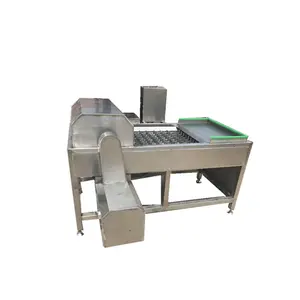 High efficiency stainless steel fish head tail cutting machine fish head removing machine