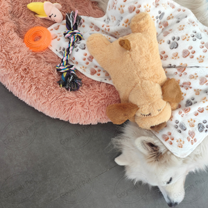 5 in 1 nuovo cucciolo accompagnano Kit di avviamento per alleviare l'ansia del battito cardiaco giocattoli di peluche cucciolo che masticano coperta morbida giocattolo - Product Image 4