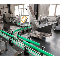 Ligne automatique de machine à emballer de remplissage de seau de bouteille d'huile de cuisson d'arachide d'arachide de palme MTW