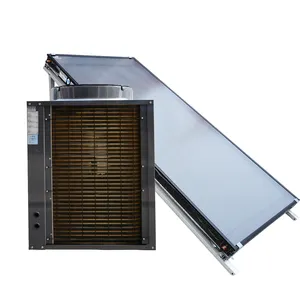 ODM OEM Supplier Hot 100L 200L Compact Pressurized Residential Cheap People Solar Heat Solar Water Heater For Swimming Pool