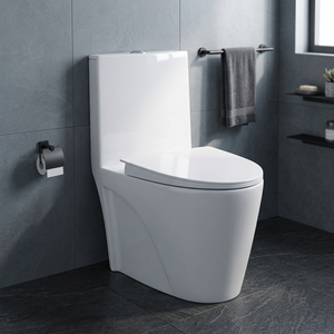 Siphonic One Piece Ceramic Toilet Dual Flush 250mm 300mm S <b>Trap</b> Elongated WC For Saudi South America - Product Image 6
