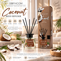 Diffuseur de parfum en verre en gros avec huile parfumée et bâtonnets en rotin naturel pour la décoration de chambre, salle de bain et salon