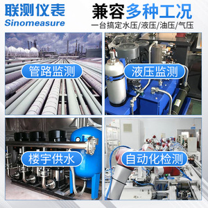 Sinomeasure Digital Pressure Gauge 0-60Mpa High Precision Threaded Connection - Product Image 3