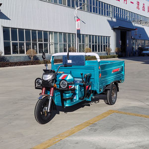 Triciclo Eléctrico de Carga de 60V >1000W, Carrocería Abierta, Carga Útil de 170 kg, <span class=keywords><strong>Masa</strong></span> <span class=keywords><strong>Total</strong></span> de 466 kg, para Entregas de Última Milla en Perú - Product Image 1