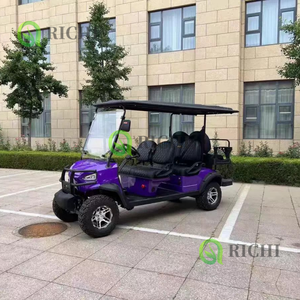 Voiturette de golf électrique de marque Richi Buggy de golf de garantie de haute qualité pour l'<span class=keywords><strong>achat</strong></span> commercial de terrain de golf - Product Image 6