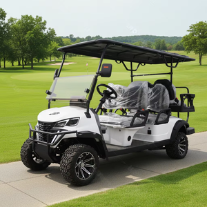 Carrito de Golf Eléctrico de 6 Plazas Personalizado por el Fabricante, Buggy de Golf con Altavoces, Autobús Turístico de 4 Ruedas en Venta - Product Image 1