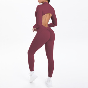 Combinaison une pièce sans manches pour femme, grande taille, mode, yoga, pilates, avec fermeture éclair et dos évidé, pour fitness et gym, vente en gros - Product Image 6