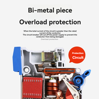 Disjoncteur modulaire Chint MCCB RCBO 2P 3P 4P, unité de déclenchement thermique-magnétique 6kA 50/60Hz 6-125A, protection contre les fuites à la terre pour