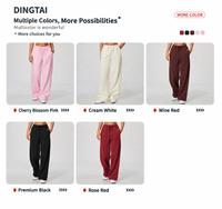 Pantalon de survêtement large en molleton doublé Dingtai pour femme, 65 % polyester, 35 % coton, chaud, confortable, décontracté, pour le sport et la course à pied