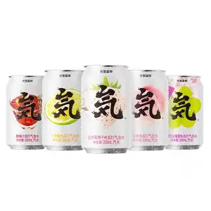 Yuanqi bebidas de suco de ameixa, 200ml, refrescante, exóticas, para bebidas de refrigerante baratos