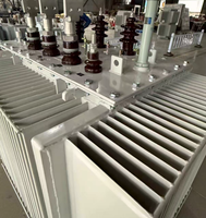 Transformateurs immergés dans l'huile Copper S22-M-1250/10