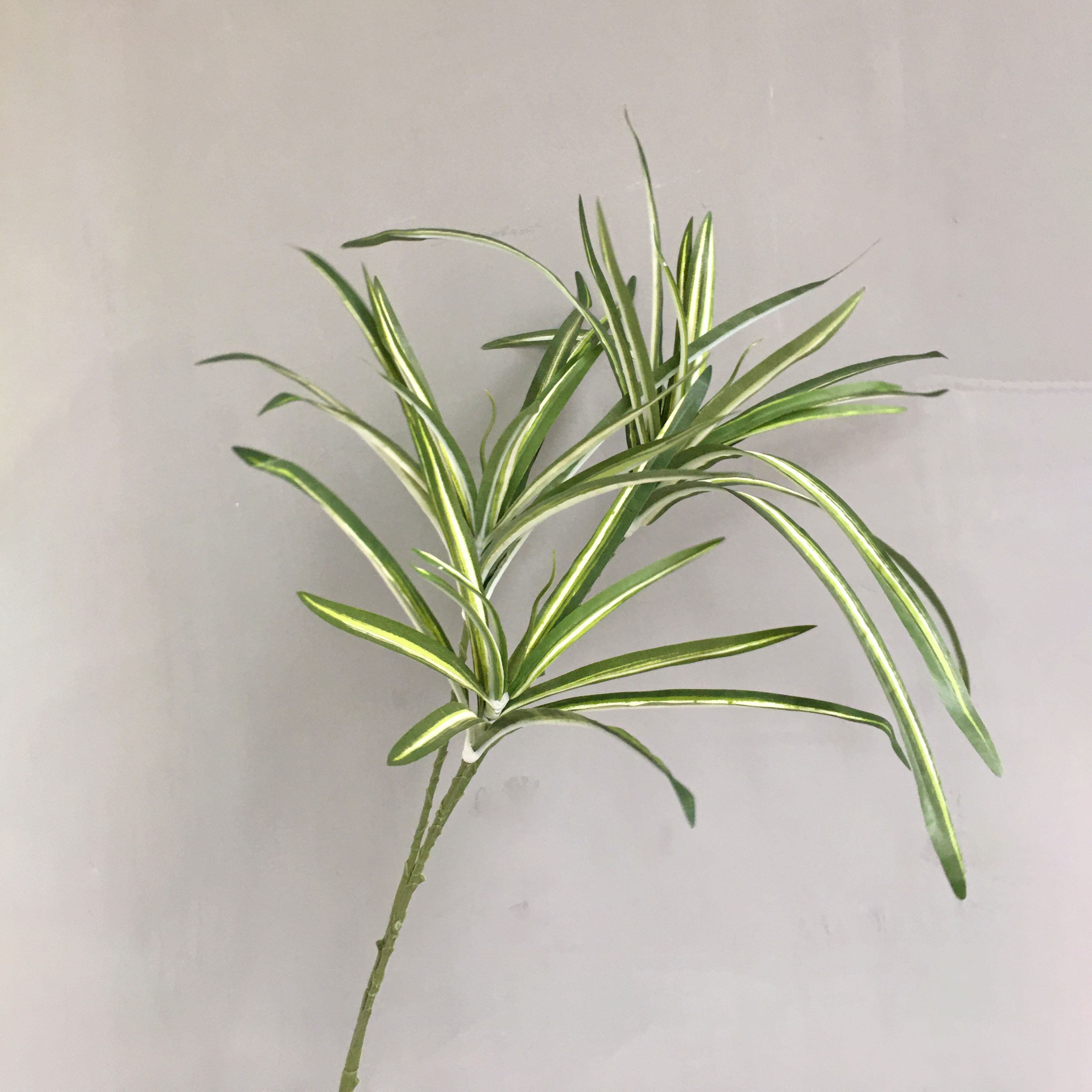 หญ้ากล้วยไม้