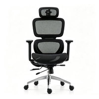 Chaise de bureau exécutive ergonomique haut de gamme en maille avec appui-tête 3D réglable, soutien lombaire et accoudoirs réglables, certifiée BFM