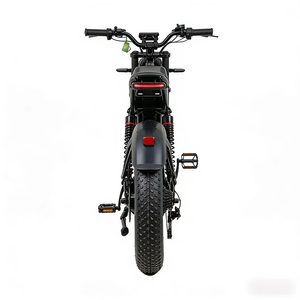 Factory Custom 800W Lithium Fat Tire <b>Electric</b> Bicycle Dual Suspension Waterproof Bulk Order Discount With Battery - Product Image 2