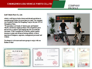 Bicicleta Eléctrica de Montaña <span class=keywords><strong>Crazy</strong></span> Monster de 8000w con Suspensión Completa, Bicicleta Eléctrica de Enduro en Venta - Product Image 5