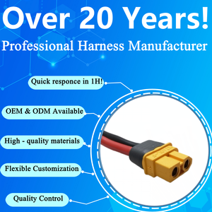 Tùy Chỉnh Dây Nhà Sản Xuất Xt30 Xt60 Xt90 Kết Nối Amass Cắm Nam Nữ Khai Thác Lắp Ráp Cáp Cho RC Lipo Pin Cáp Bay Không Người Lái - Product Image 6