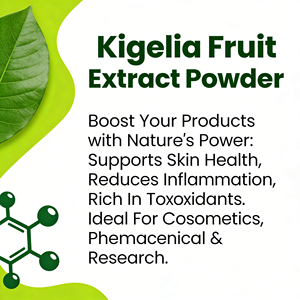 Kigelia Fruitextract Kigelia Poeder 10:1 20:1 30:1 Kigelia Poeder 99% - Product Image 2