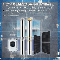 Pompe submersible solaire marine multi-étages en acier inoxydable de 1,2 pouce, 100 m de hauteur de refoulement, à moteur CC sans balais, pour puits profond, avec contrôleur externe