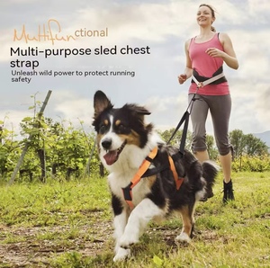 <span class=keywords><strong>Harness</strong></span> dada untuk anjing yang naik kereta luncur, tali pengikat anjing untuk lari di luar ruangan, tali pengikat anjing yang dipasang di kendaraan - Product Image 1