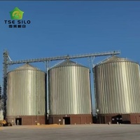 Düz Tabanlı Tahıl Depolama Çelik Silosu Büyük Tahıl Çiftlikleri ve İşleme Tesisleri için Tarım Ekipmanı 2000-20000 Ton