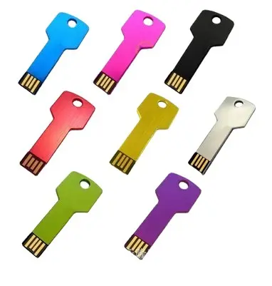 Bán buôn kim loại USB Memory Stick Key USB Flash Drive 2GB 4GB 8GB 16GB 32GB Key USB Pendrive