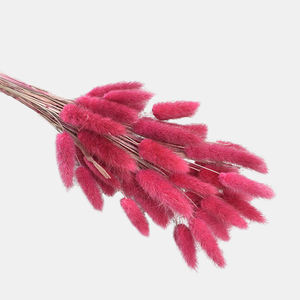 Vente en gros de fleurs artificielles en soie pour la décoration de bureau à domicile fleurs séchées <span class=keywords><strong>lagurus</strong></span> ovatus lapin préservé queues de lapin herbe - Product Image 3