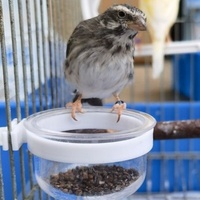 Gamelle séparée pour aliments souples pour oiseaux, mangeoire pour canaris, pinsons et perroquets, boîte d'alimentation pour oiseaux