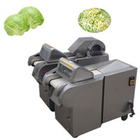 Machine de découpe de légumes commerciale entièrement automatique motorisée, en acier inoxydable de qualité alimentaire, haute capacité, pour pommes de terre, gingembre, carottes