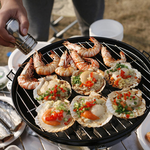 <span class=keywords><strong>Barbecue</strong></span> portable au <span class=keywords><strong>charbon</strong></span> <span class=keywords><strong>de</strong></span> <span class=keywords><strong>bois</strong></span> <span class=keywords><strong>de</strong></span> 14 pouces <span class=keywords><strong>avec</strong></span> <span class=keywords><strong>couvercle</strong></span> pour camping, pique-nique et fêtes en extérieur - Product Image 3