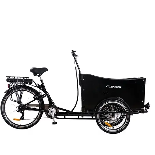 Bicicleta de carga eléctrica para adultos, bici de 3 ruedas con amortiguador, triciclo, 24 ", 250W * 36V