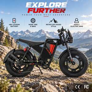 Prix de gros, batterie au lithium 48V, 20 pouces, pour adultes, vélo de montagne imperméable, 400W, moteur sans balais, vélo électrique avec protection contre l'eau - Product Image 1