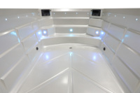 Nouvelle collection 2026 : Piscine Spa Lumineuse BG-6665-3 Série Luxe avec Moteur de Nage Puissant