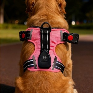 Harnais de poitrine GPS pour animaux de compagnie avec suivi en temps réel pour chiens, confortable, lavable, design réfléchissant, bleu, vert, rose - Product Image 2