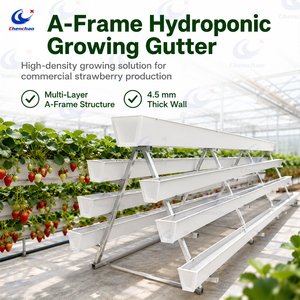 Nuovo Design ChenChao: Sistema di Coltivazione Verticale Ecologico con Vassoio di Raccogliacqua / Canale in Plastica per <span class=keywords><strong>Giardino</strong></span> Domestico - Product Image 1