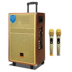 High Quality Professional Audio Sound System 150W Heavy Bass Portable Trolley Speaker With Mic